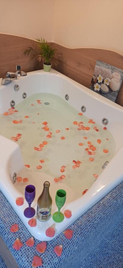 טימישוארה Central Terrace Escape With Jacuzzi מראה חיצוני תמונה