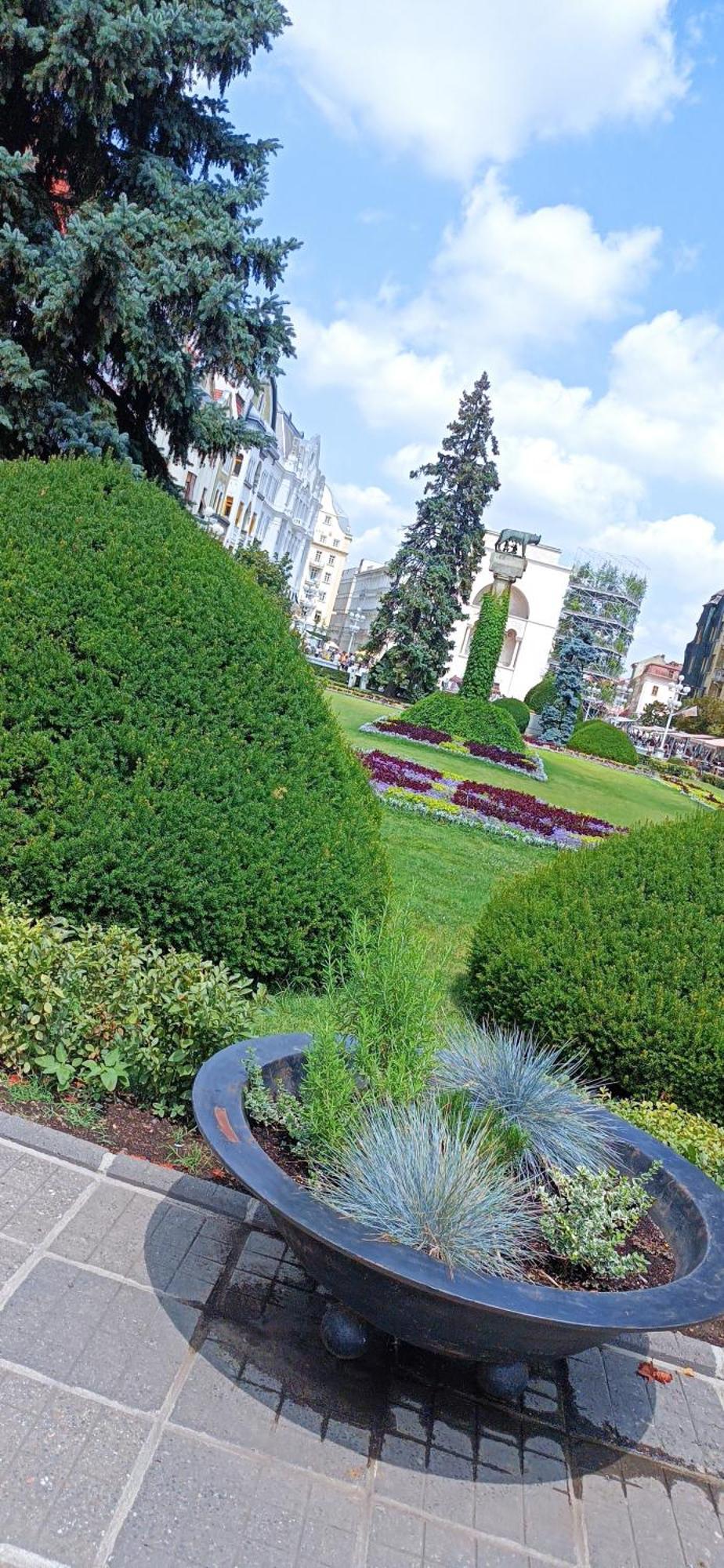 טימישוארה Central Terrace Escape With Jacuzzi מראה חיצוני תמונה
