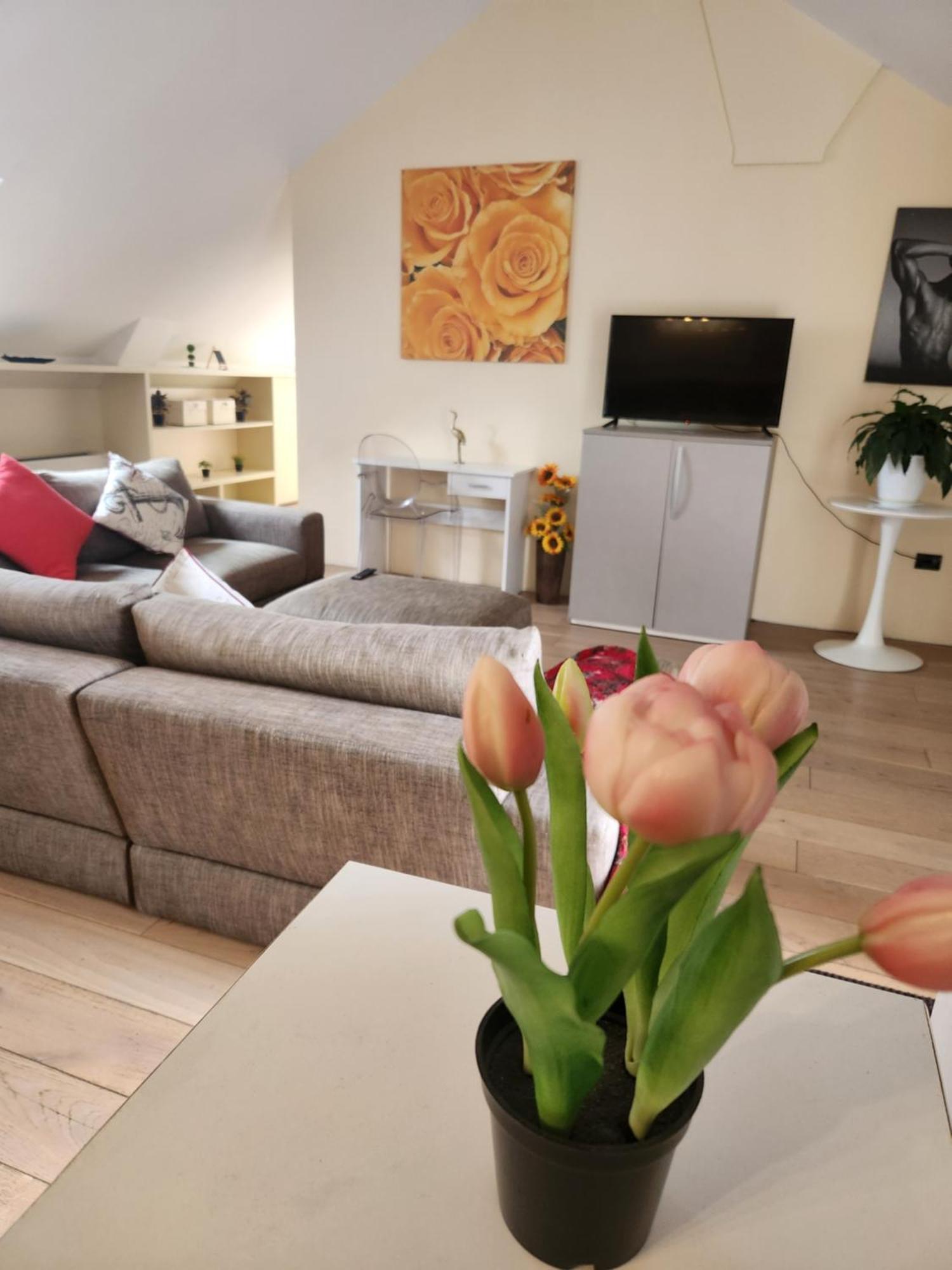 טימישוארה Central Terrace Escape With Jacuzzi מראה חיצוני תמונה