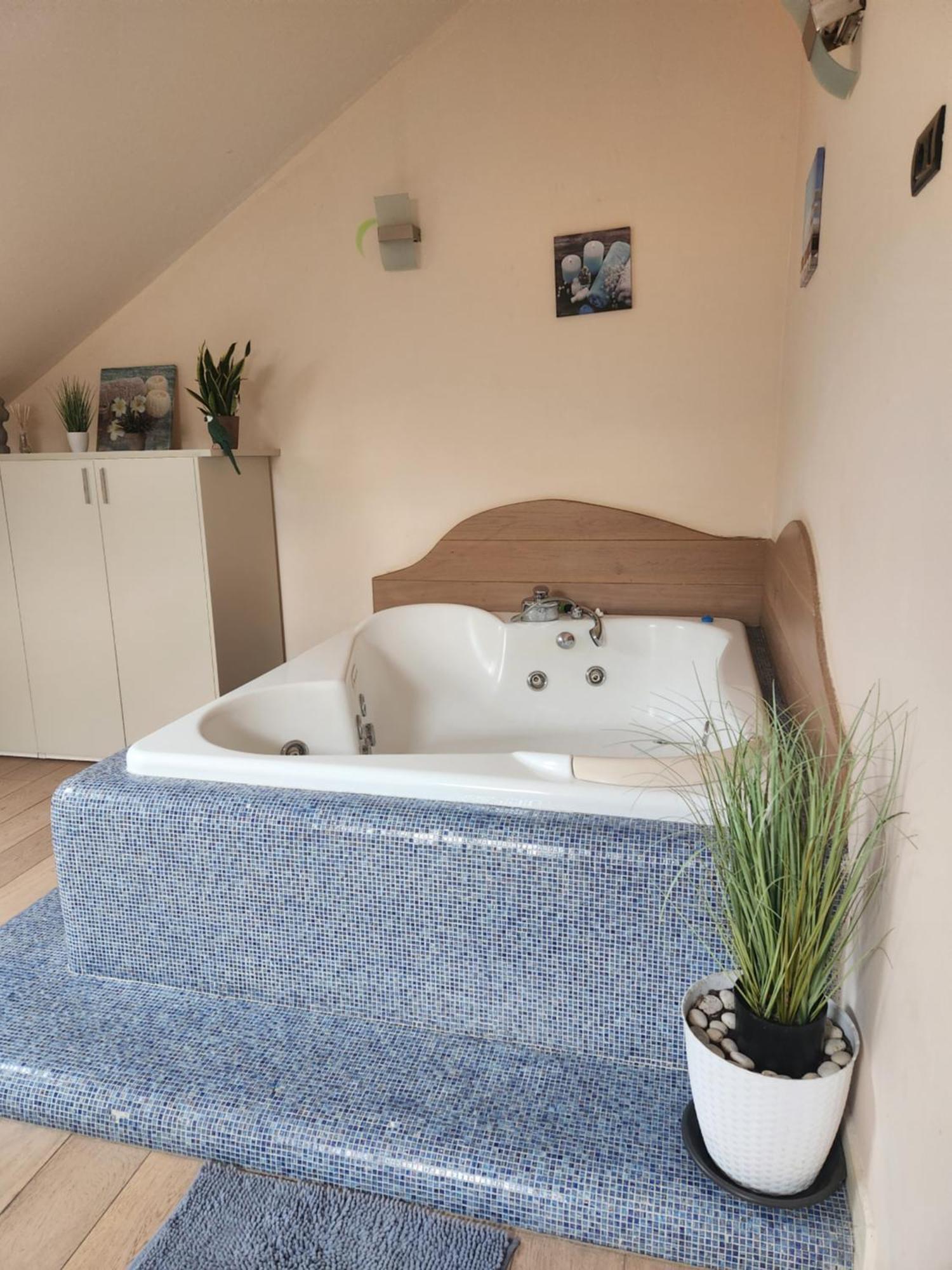 טימישוארה Central Terrace Escape With Jacuzzi מראה חיצוני תמונה