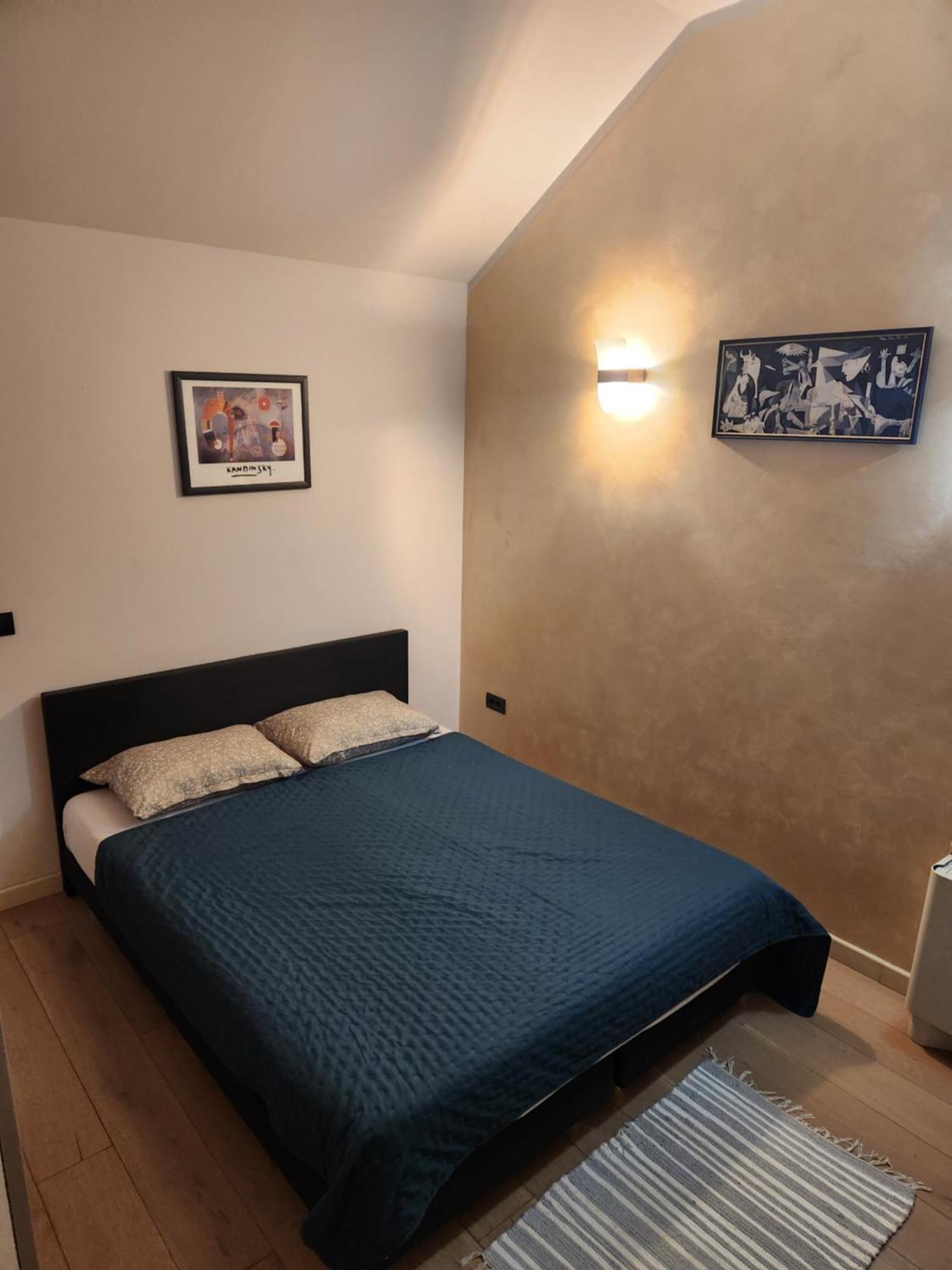 טימישוארה Central Terrace Escape With Jacuzzi מראה חיצוני תמונה